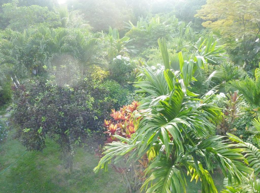 La Batie Selfcatering Apartment Vịnh Beau Vallon Ngoại thất bức ảnh